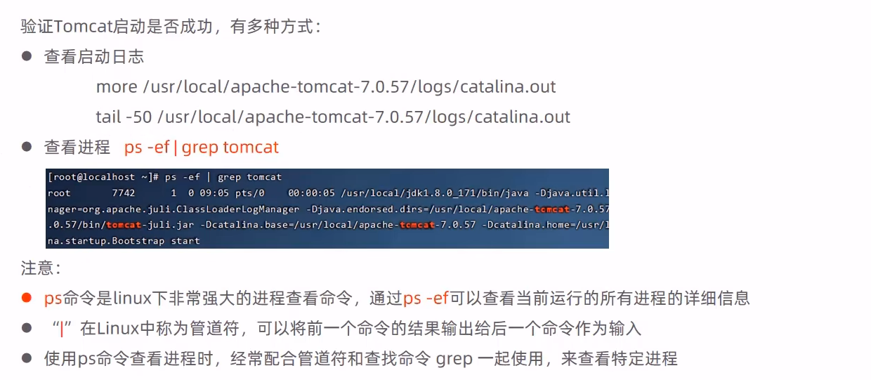 验证tomcat启动