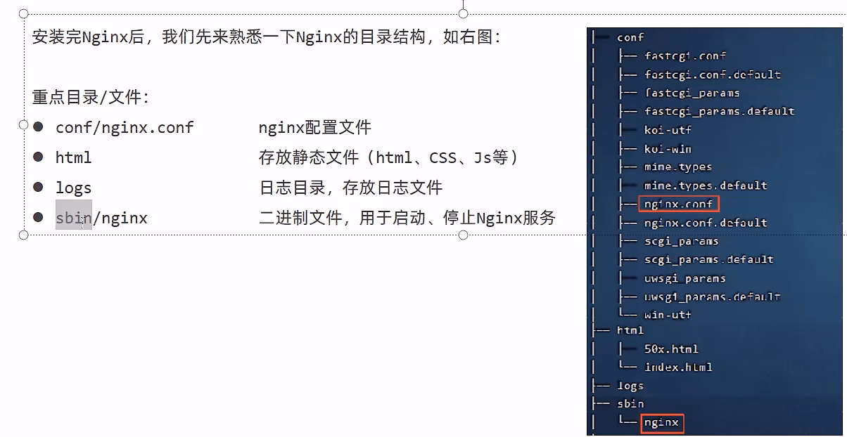 nginx目录结构